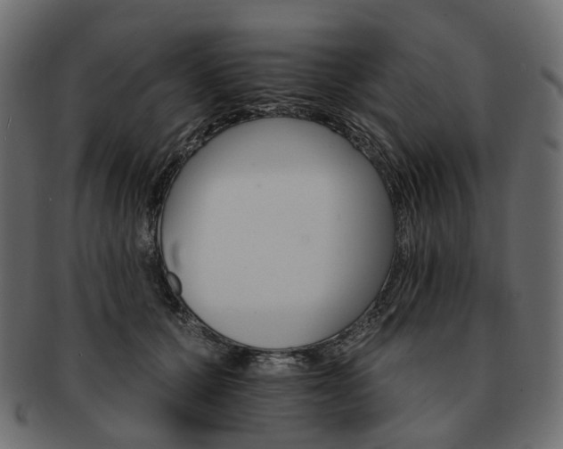 X0000093220607200710031441