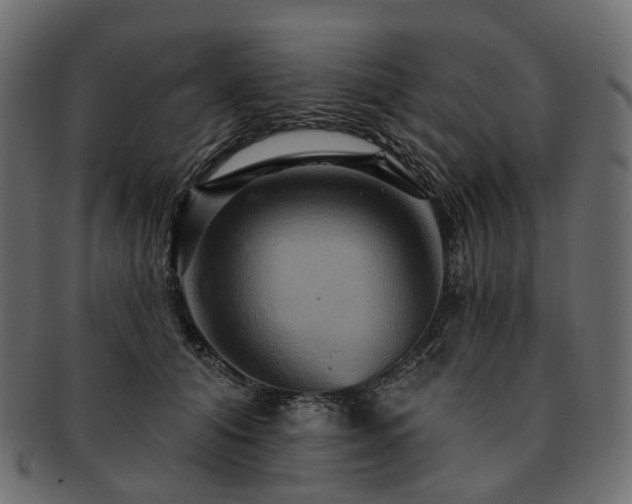 X0000093220608200710031441