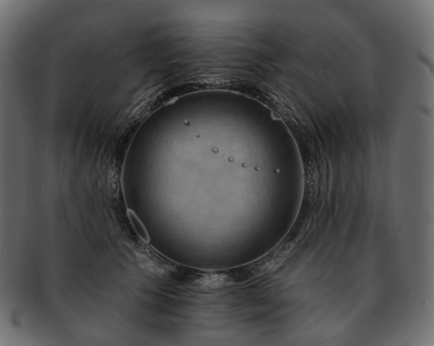 X0000093220609200710031441