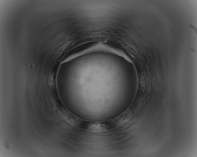 X0000093220611200710031441