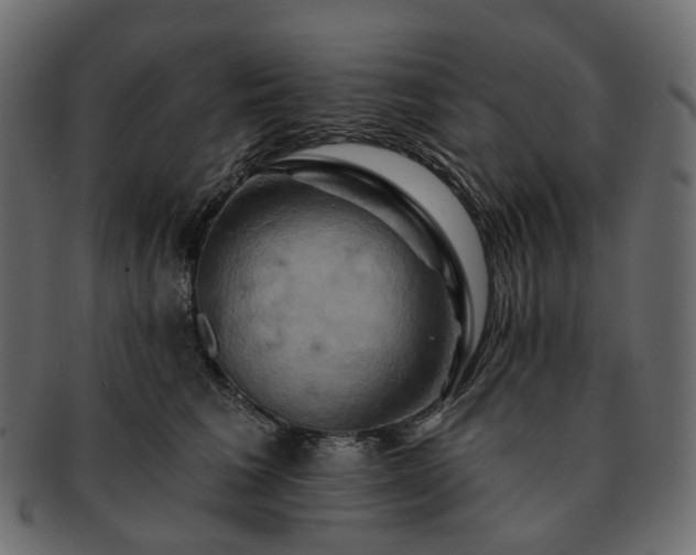 X0000093220613200710031441