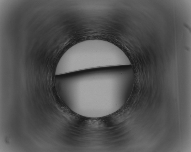 X0000093220615200710031441