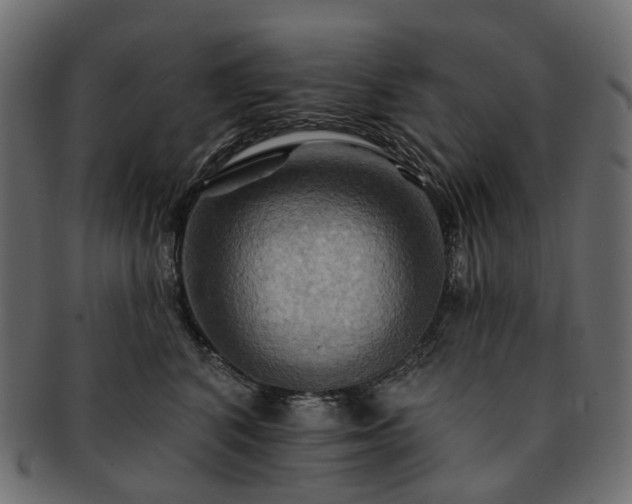 X0000093220616200710031441