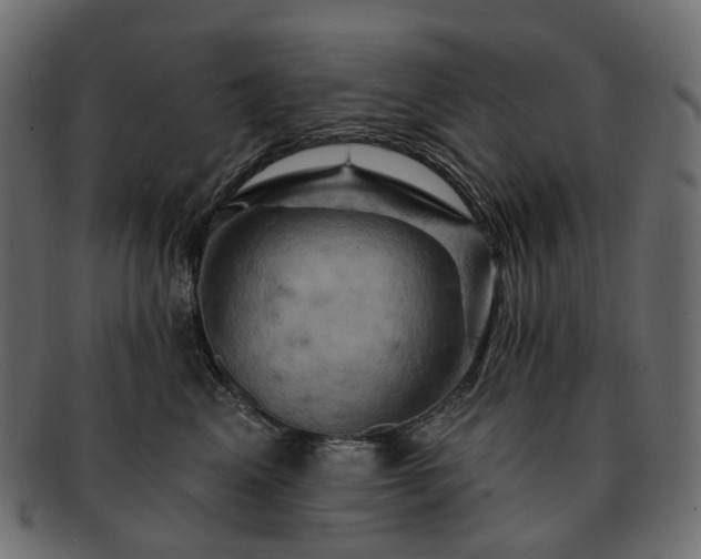 X0000093220617200710031441