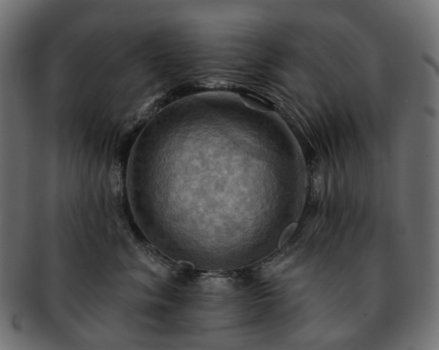 X0000093220620200710031440