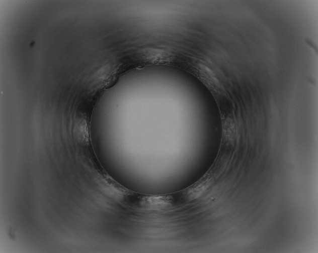 X0000093220622200710031440