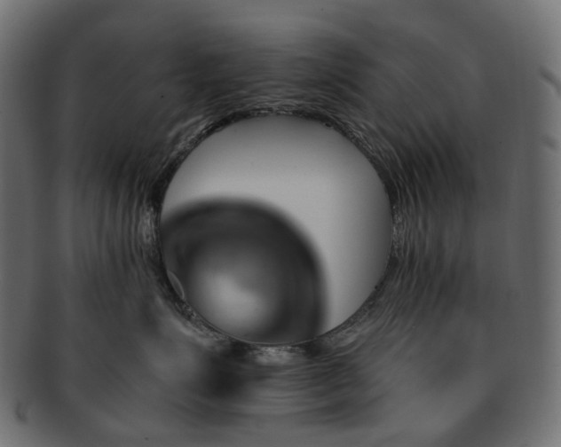 X0000093220623200710031440