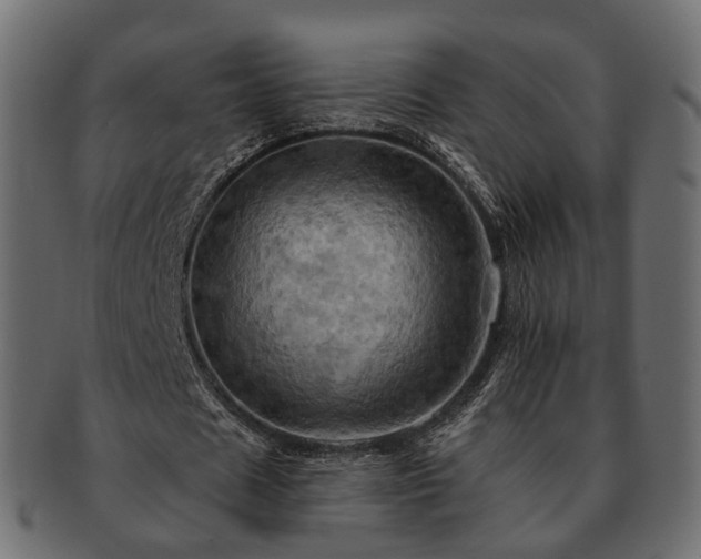 X0000093220625200710031440