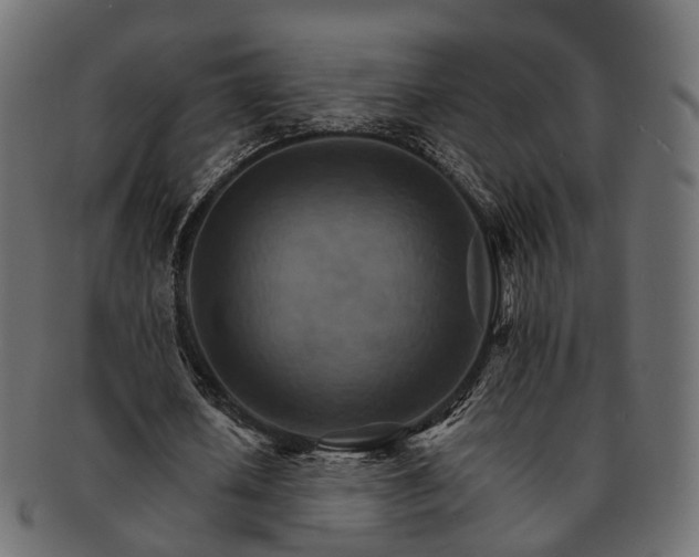 X0000093220626200710031440