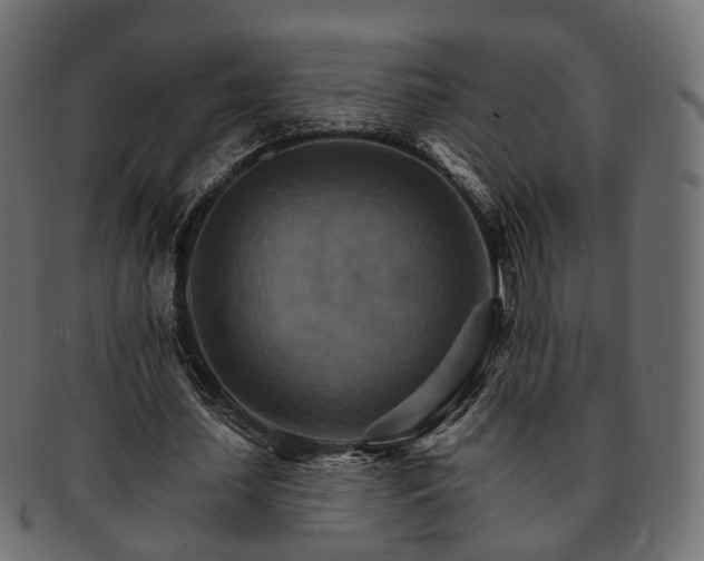 X0000093220627200710031440