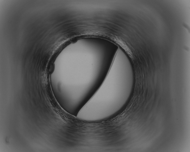 X0000093220628200710031440