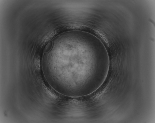 X0000093220633200710031440