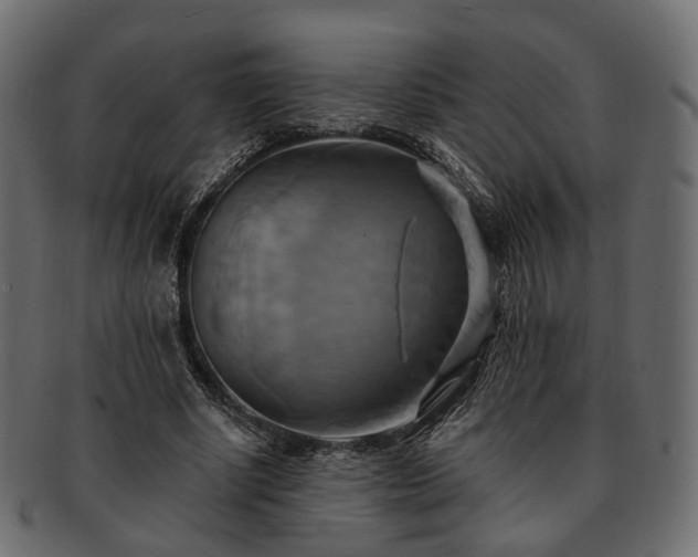 X0000093220634200710031440