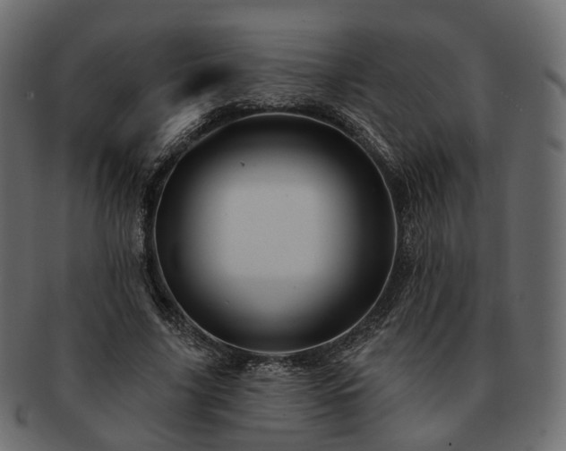 X0000093220635200710031440