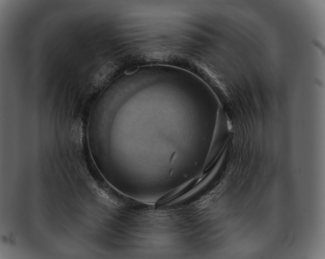 X0000093220637200710031440