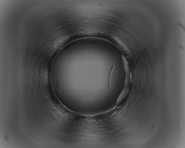 X0000093220640200710031440