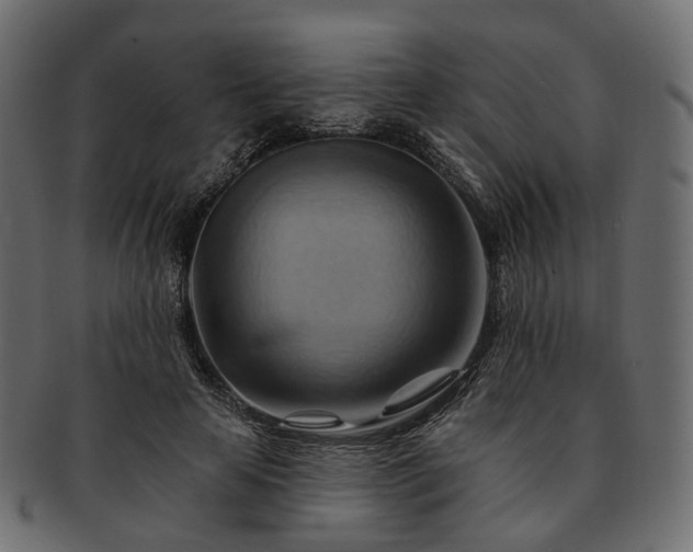 X0000093220641200710031440