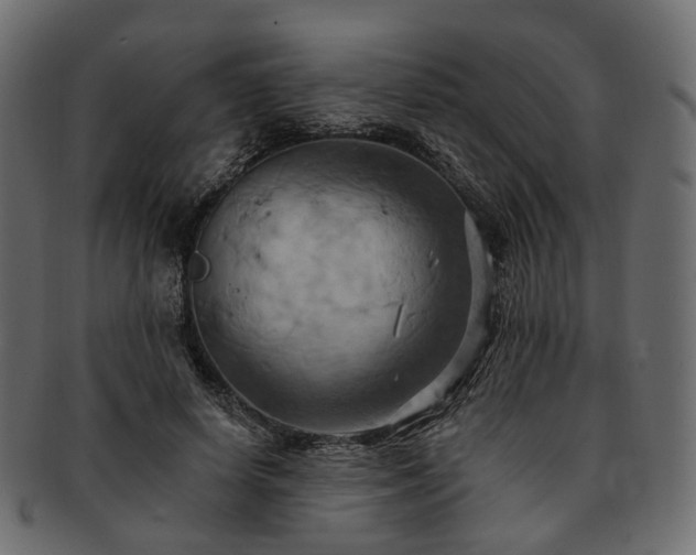 X0000093220642200710031440