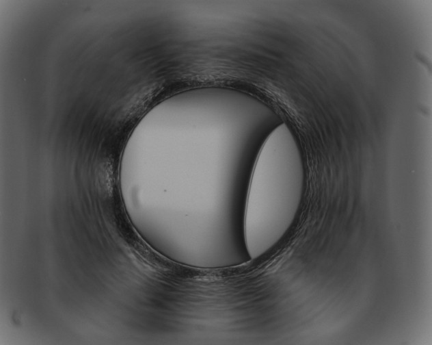 X0000093220644200710031440