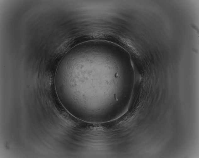 X0000093220645200710031440