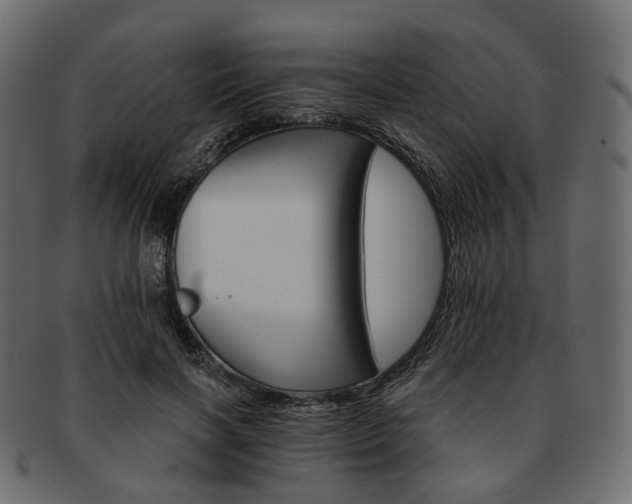 X0000093220646200710031440