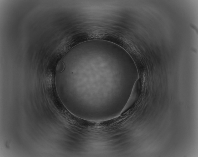 X0000093220647200710031440