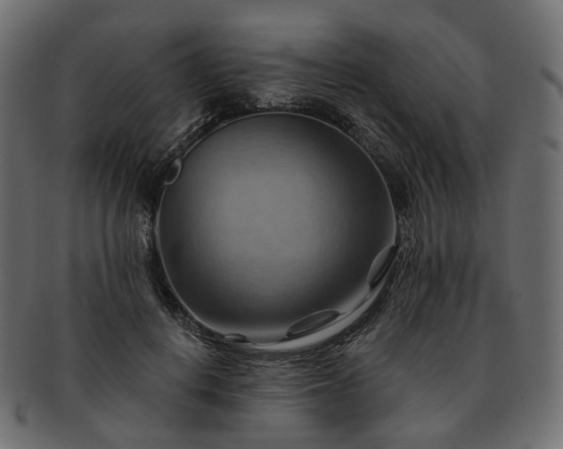 X0000093220648200710031440