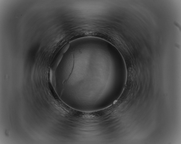 X0000093220650200710031440