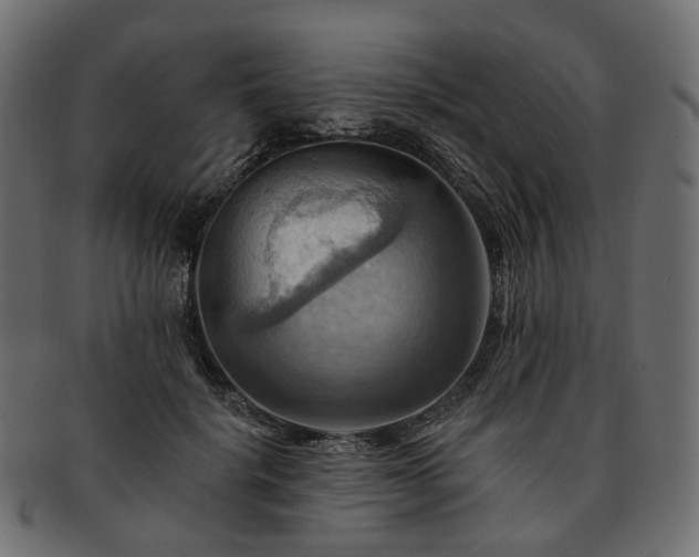 X0000093220652200710031440