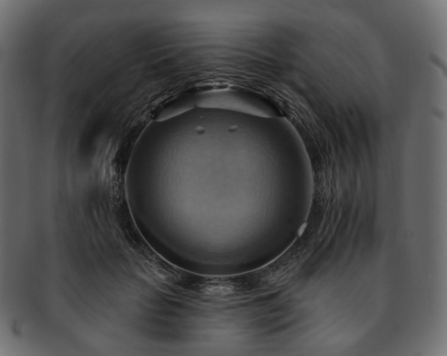 X0000093220653200710031440