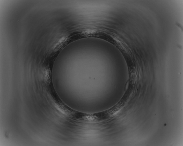 X0000093220654200710031440