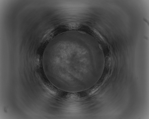 X0000093220655200710031440