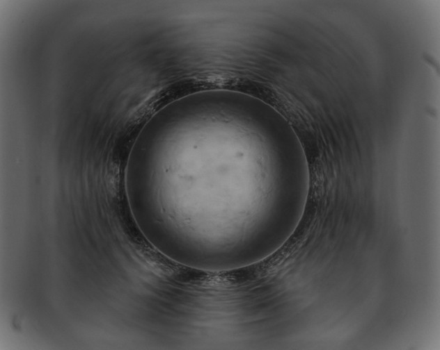 X0000093220656200710031440