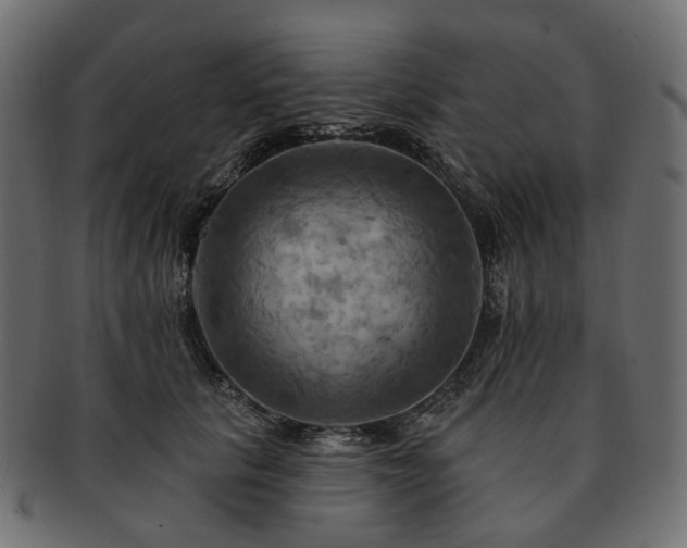 X0000093220657200710031440