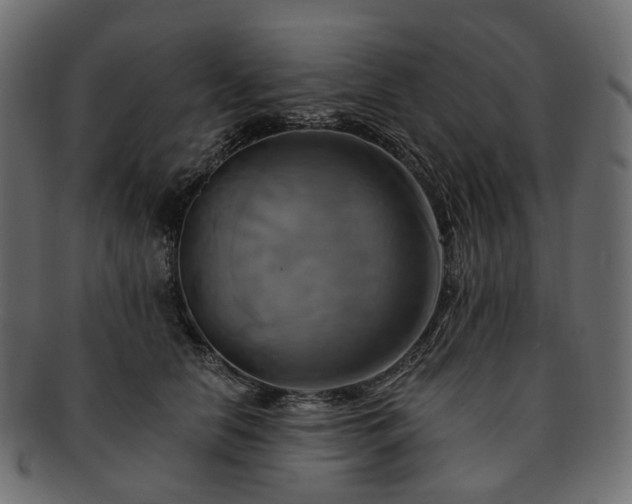 X0000093220658200710031440