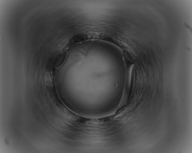 X0000093220661200710031440