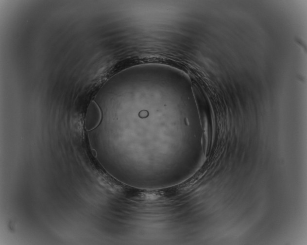 X0000093220662200710031440