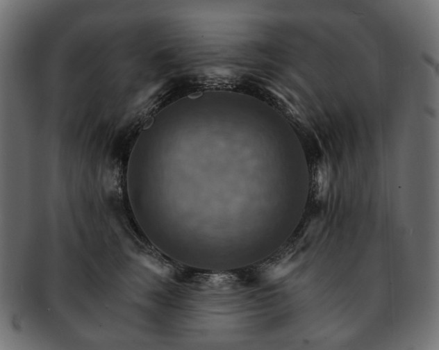 X0000093220663200710031440