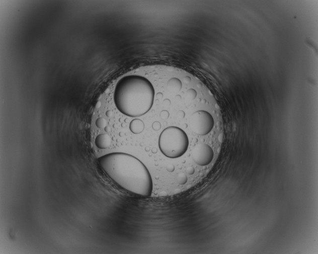 X0000093220665200710031440