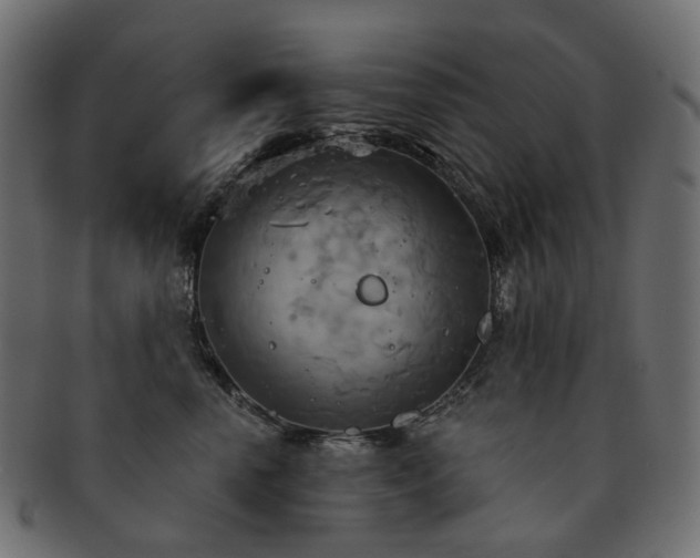 X0000093220666200710031440