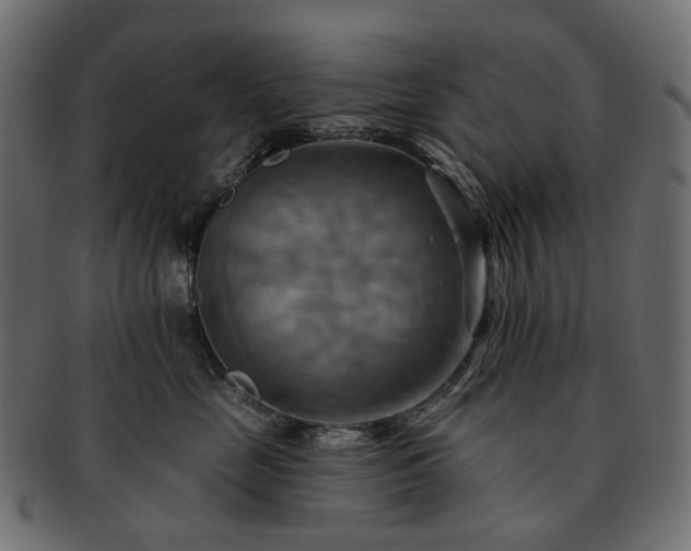 X0000093220669200710031440