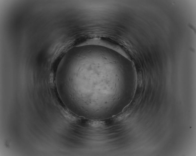 X0000093220670200710031440