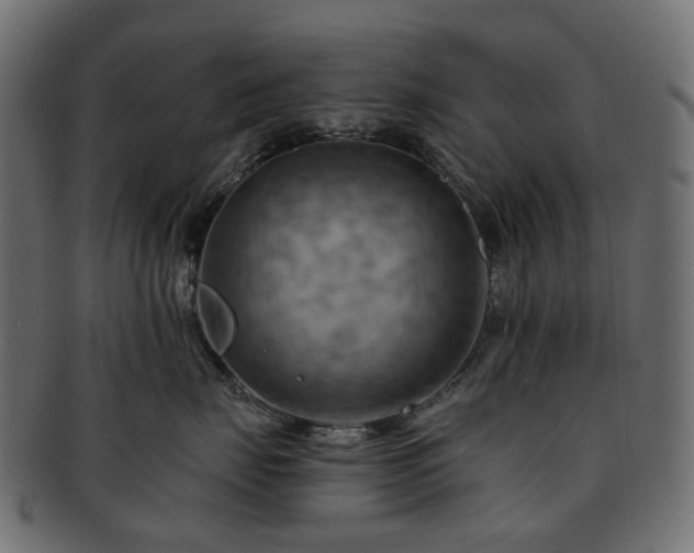 X0000093220671200710031440