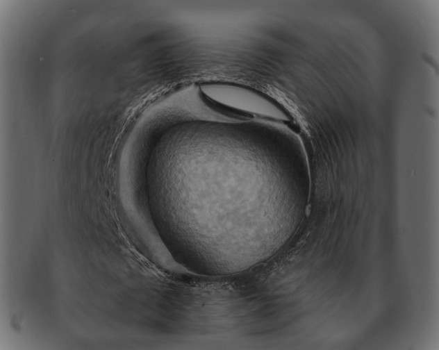 X0000093220673200710031440