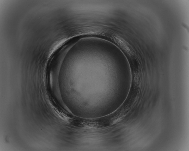 X0000093220676200710031440