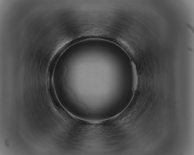 X0000093220680200710031440