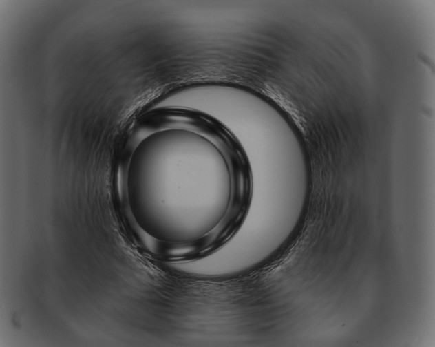 X0000093220681200710031440