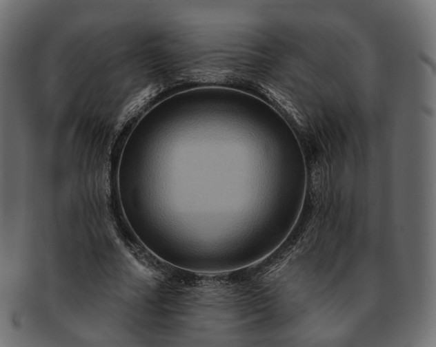 X0000093220682200710031440