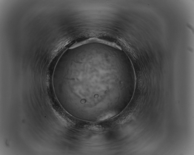 X0000093220683200710031440