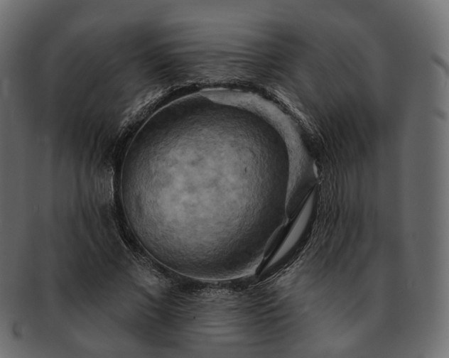 X0000093220685200710031440